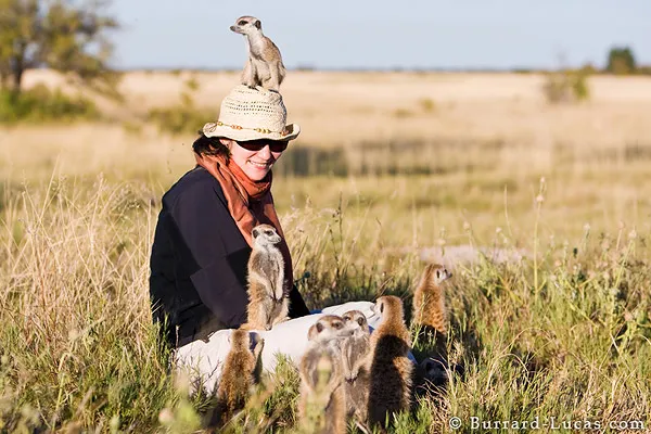 Meerkats on Person Meerkats on Person